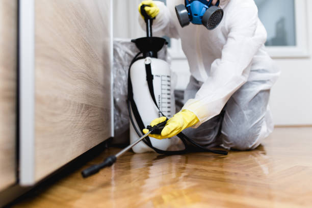 Best Residential Pest Control  in South Highpoint, FL