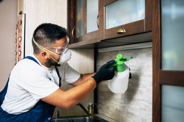 Best Mosquito Control Services  in South Highpoint, FL