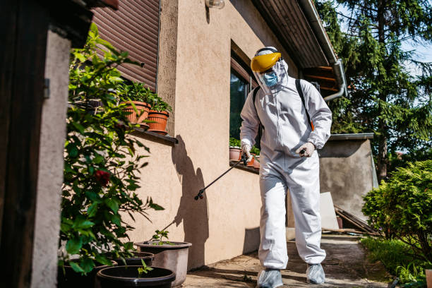Best Pest Control Near Me  in South Highpoint, FL
