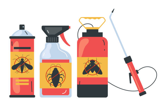 Best Wasp Removal Services  in South Highpoint, FL