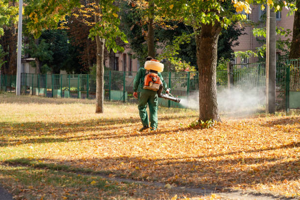 Best Wildlife Control Services  in South Highpoint, FL