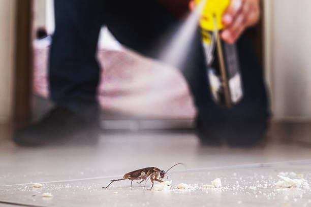 Trusted South Highpoint, FL Pest Control Experts