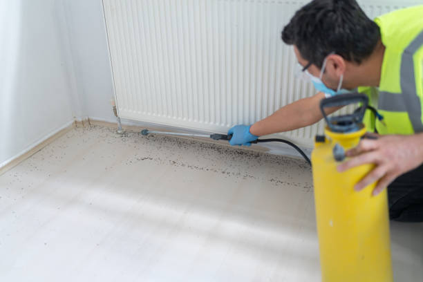 Pest Prevention Services in South Highpoint, FL
