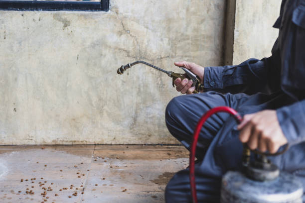Best Best Pest Control Companies  in South Highpoint, FL